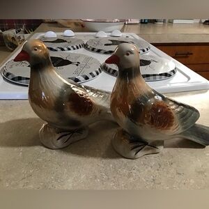 Pair of brown pigeons.